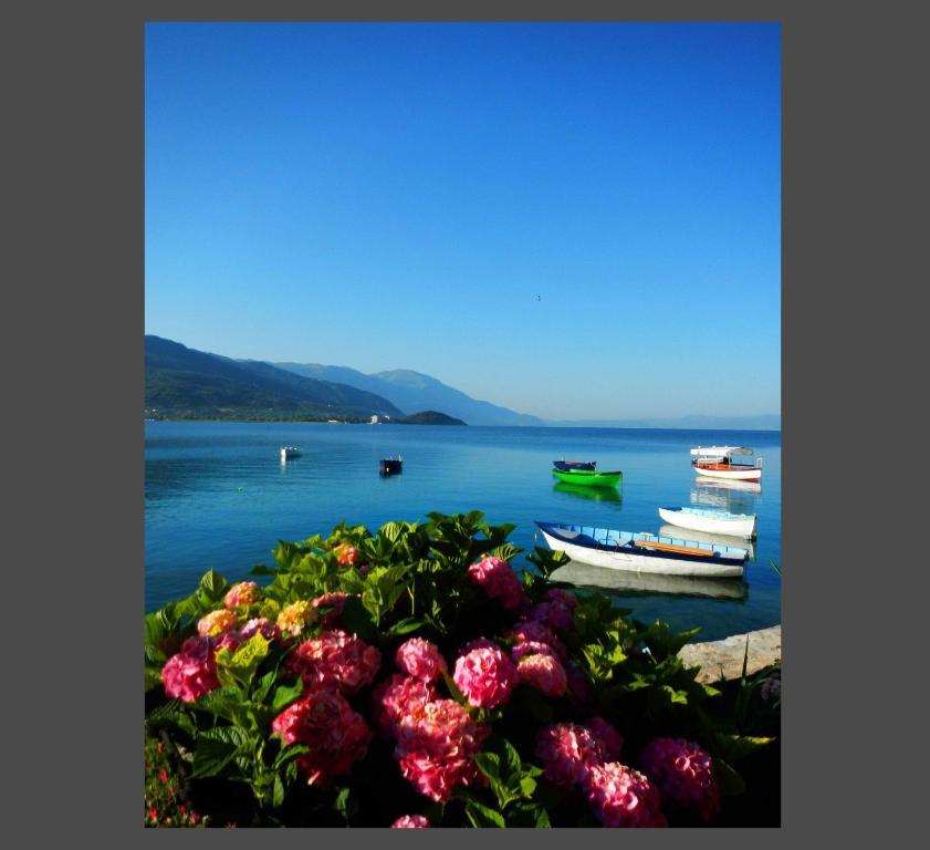 Villa Lucija Ohrid Extérieur photo